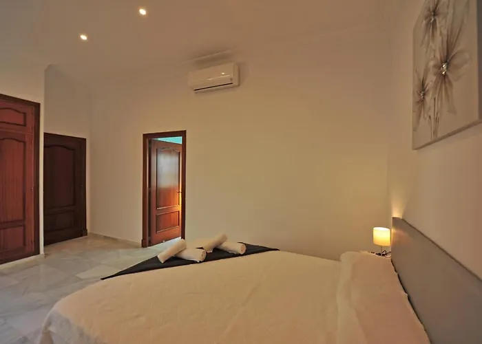 Palacio Centro Terraza 8