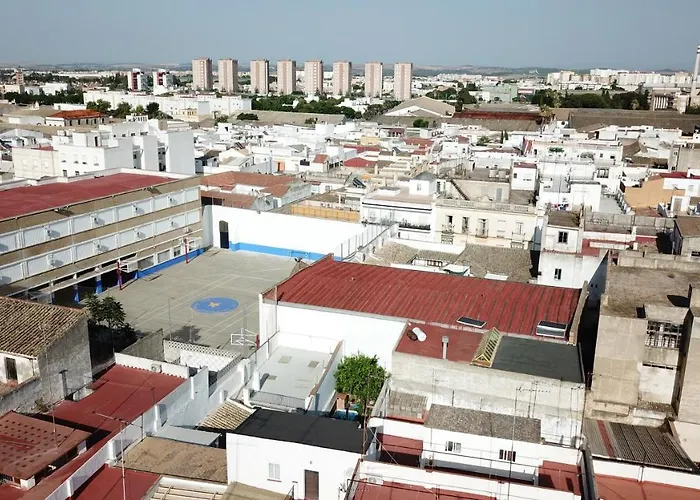 Palacio Centro Terraza 8