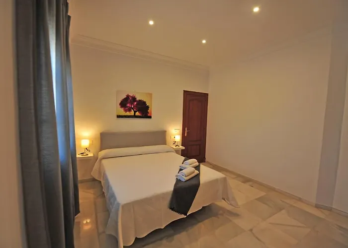 Palacio Centro Terraza 8 Jerez de la Frontera