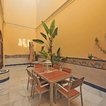 Apartment Palacio Centro Terraza 8